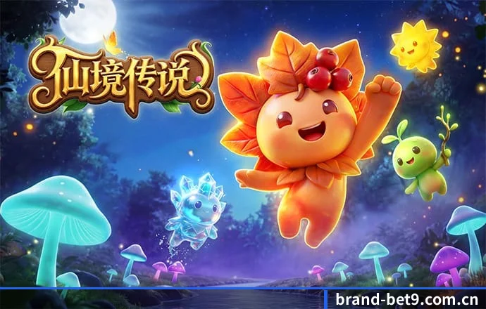bet9 APP 深度功能
